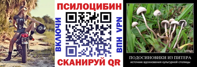 Галлюциногенные грибы Magic Shrooms купить наркоту Ясный